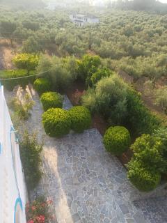 Tassos & Marios Apartments I - Laganas - 8