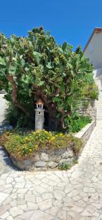 Guesthouse Goga - 7