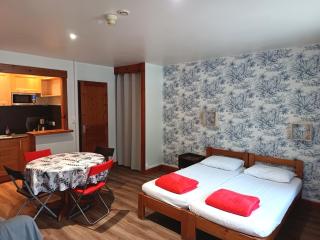 Grand studio en montagne - Arlos - 0