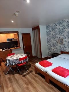 Grand studio en montagne - Arlos - 9