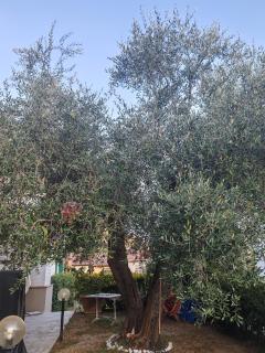 Casa di Enrico - Il Prato - 9