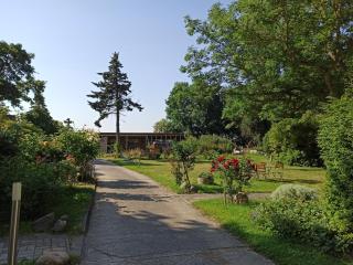 Ferienhof Nonnevitzer Strand - Dranske - 5