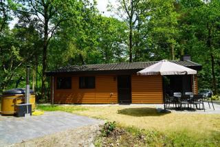 Vakantiepark De Wiltzangh - Hackfort Hottub 6 - Ruinen - 9