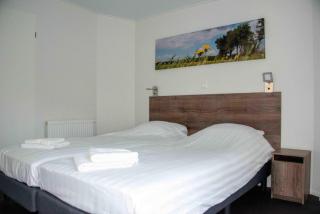 Vakantiepark De Wiltzangh - Wellness Lodge - Ruinen - 4