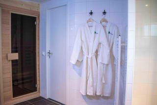 Vakantiepark De Wiltzangh - Wellness Lodge - Ruinen - 2