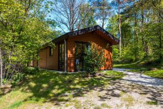 Vakantiepark De Wiltzangh - Wellness Lodge Wood XL - Ruinen - 0
