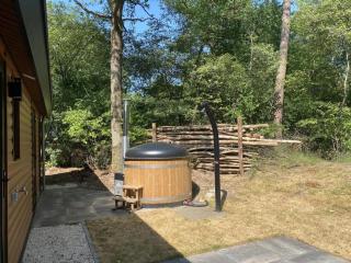Vakantiepark De Wiltzangh - Wellness Lodge Wood XL - Ruinen - 9