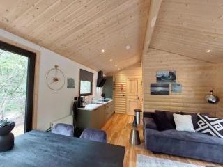 Vakantiepark De Wiltzangh - Wellness Lodge Wood XL - Ruinen - 8