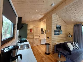 Vakantiepark De Wiltzangh - Wellness Lodge Wood XL - Ruinen - 7