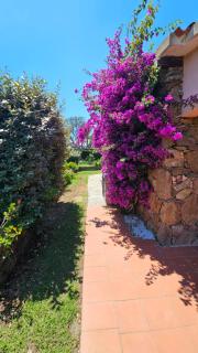 San Teodoro Beach Villa 86b - San Teodoro - 3