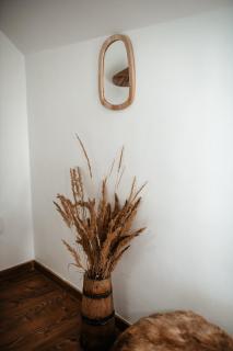 Pensiunea Adam și Eva - Pojorîta - 5
