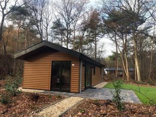Vakantiepark De Wiltzangh - Velthorst Hottub 4 - Ruinen - 9