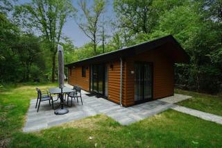 Vakantiepark De Wiltzangh - Velthorst Hottub 4 - Ruinen - 2