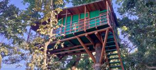 Vrindavan Bhavan Homestay - - 8