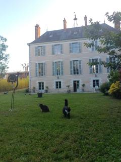 Château de la Mothe - Olivet - 0