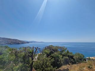 las flores - 3