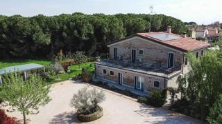 La Pineta del Borgo - Ravenna - 8