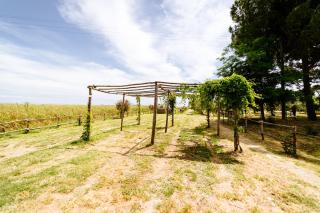 Agriturismo La Fragolaia - Marina di Grosseto - 5