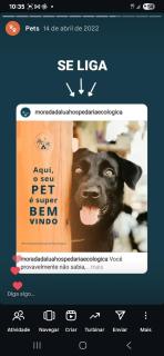 Morada da Lua Hospedaria Ecológica - Camaçari - 1