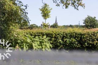 OV517 - 6 persons holiday home De Kersenboomhoeve - 3