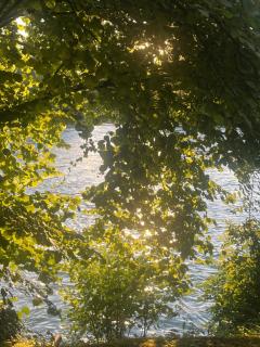 Le moulin de Sauvage - Saint-Just-Sauvage - 7