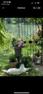 Le moulin de Sauvage - Saint-Just-Sauvage - 6
