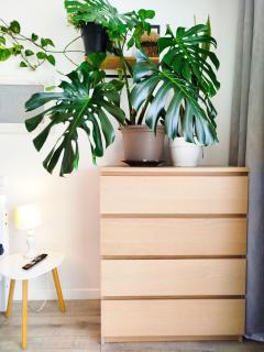 DOM NA GóRCE w Beskidach - apartamenty, pokoje - 3