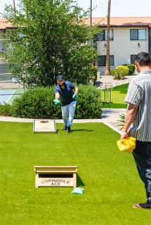 111 Fully Furnished 1BR Suite-Prime Location - 9