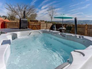 1 bed property in Brynteg 81354 - Llanwenog - 0