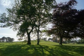 Cavangarden House - Ballyshannon - 4