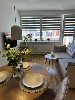 "SUN & SEA" APARTMENT near CITY CENTER - Klaipėda - 6