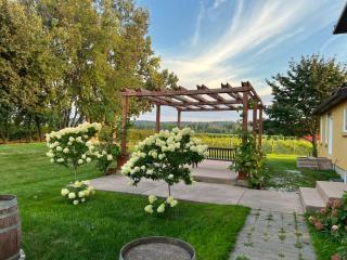 Gilded Grape Farm - Niagara on the Lake - 1
