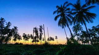 MARACUYA at Limoncito Beach - Limoncito Hill - 2