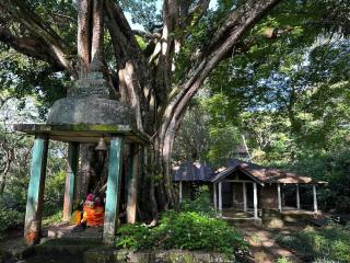 Koslanda Retreat by Spirit of Ceylon - Lemastota - 1