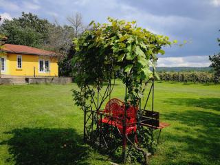 Gilded Grape Farm - Niagara on the Lake - 8