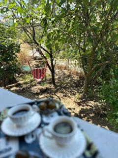 Albanian Oasis - Gjirokastër - 7