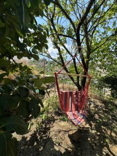 Albanian Oasis - Gjirokastër - 8