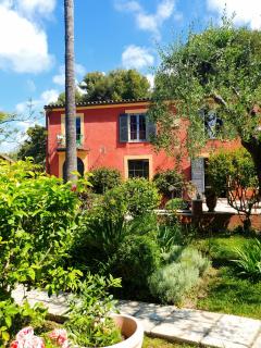 Sous L'olivier - Mentone - 1