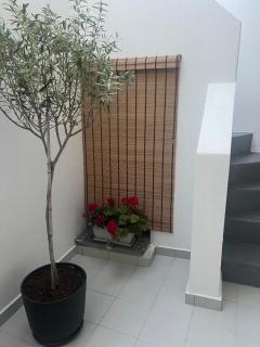 ΟTTO apts - Loutra - 7