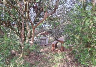 Taipas de Urupema - Vinícola e Pousada Boutique - Urupema - 2