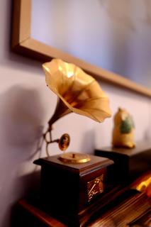 Aesthetic 2BHK, near aashima mall - Bhopal - 4