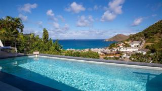 Villa In The Heart Of A Lovely Vegetal Setting - Gustavia - 0