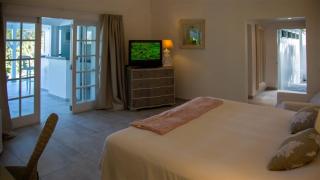 Villa In The Heart Of A Lovely Vegetal Setting - Gustavia - 4