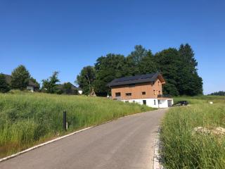 Pusteblume - 2