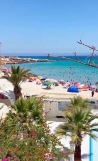 grand s1 kelibia petit paris - Kelibia - 3