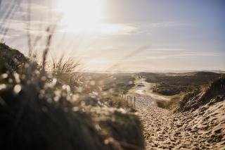 Boutique Hotel Haus Noge - Westerland - 8