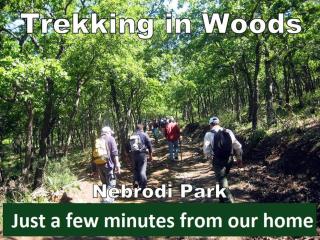 Incrocio di Luce - House in nature - 1