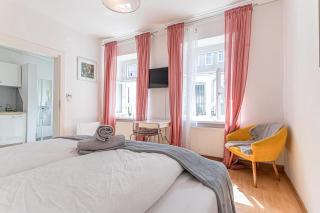 Cozy 1BR Apt,TV and Netflix, Close to Metro Lines - Vienne - 9