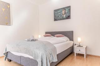 Cozy 1BR Apt,TV and Netflix, Close to Metro Lines - Vienne - 2