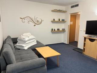 Delfin Apartman Zalakaros - Zalakaros - 9